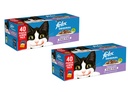 Felix Nassfutter Fleisch & Fisch in Gelée, 40 x 85 g