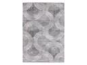 Conceptum Hypnose Teppich Leo 2961 100 cm x 200 cm, Grau