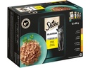 Sheba Nassfutter Delikatesse Gelee Geflügel Variation, 4 x 85g