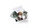 Oykami Mama und Baby Geschenkbox «Kapstadt» Grün