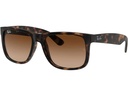Ray-Ban Sonnenbrille Justin Gummi Schwarz / Dunkelblau
