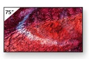 Sony Public Display FW-65BZ40PB 65 "