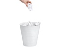 Zeller Present Abfalleimer 13.5 l, Grau