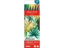 Caran d'Ache Filzstift Set Fibralo Brush Pastel mit 6 Farben