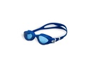 Arena Schwimmbrille The One Plus klar/graublau